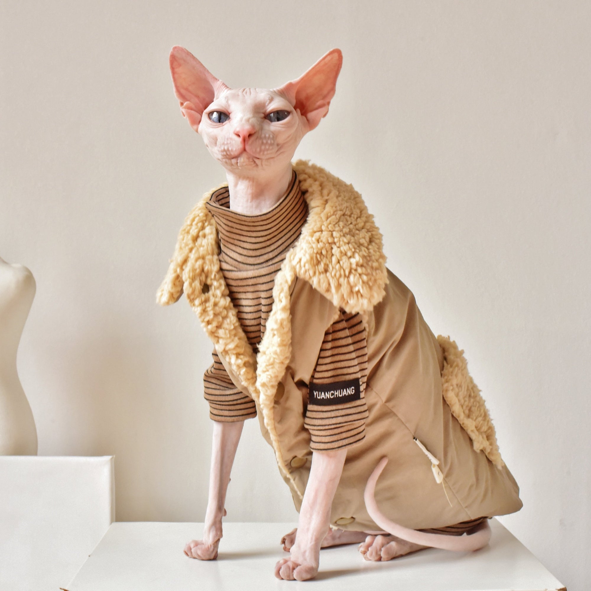 Sphynx Cat Weatherproof Jacket – Faux Leather Warm Coat