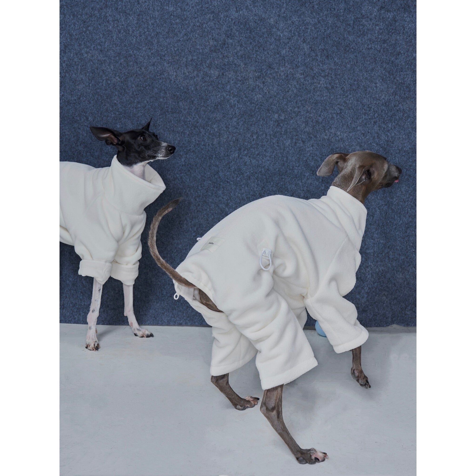 Whippet &amp; Greyhound Fleece Jumpsuit – Anti-Static Reversible Winter Onesie