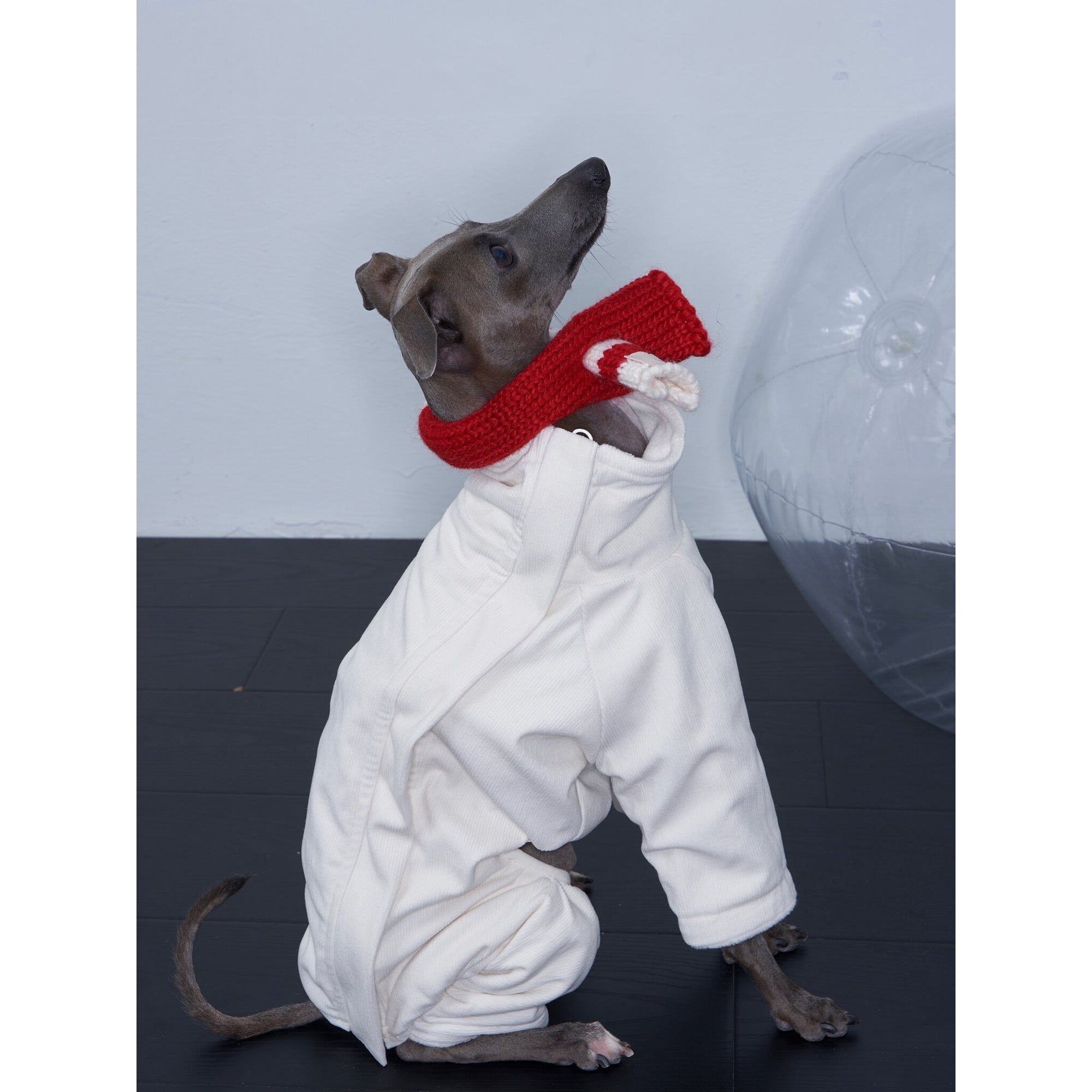 Whippet &amp; Greyhound Fleece Jumpsuit – Anti-Static Reversible Winter Onesie