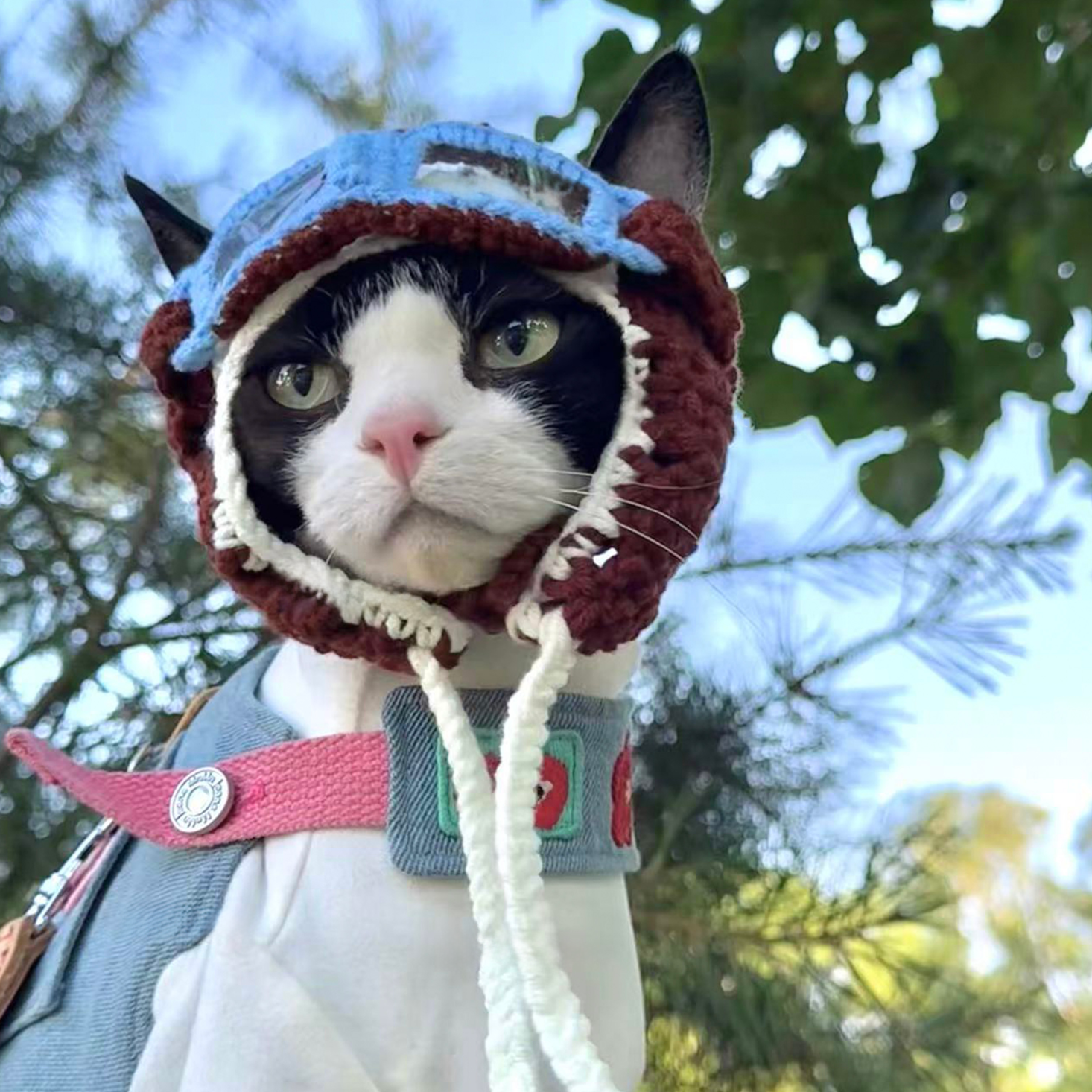 Cat Diving Mask Hat Handmade Ear-Out Design for Cats
