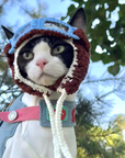 Cat Diving Mask Hat Handmade Ear-Out Design for Cats
