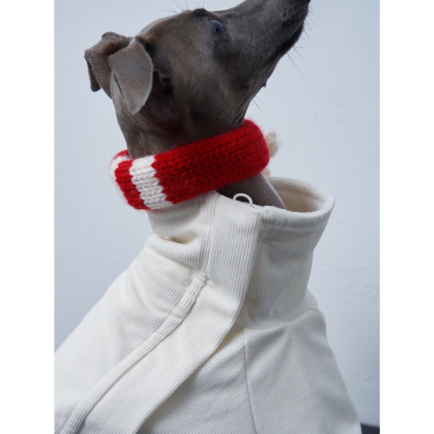 Anti-Static Reversible Fleece Jumpsuit for Greyhounds &amp; Whippets