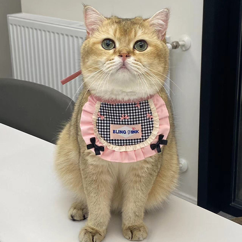 Handmade Pet Bib with Pink Bow