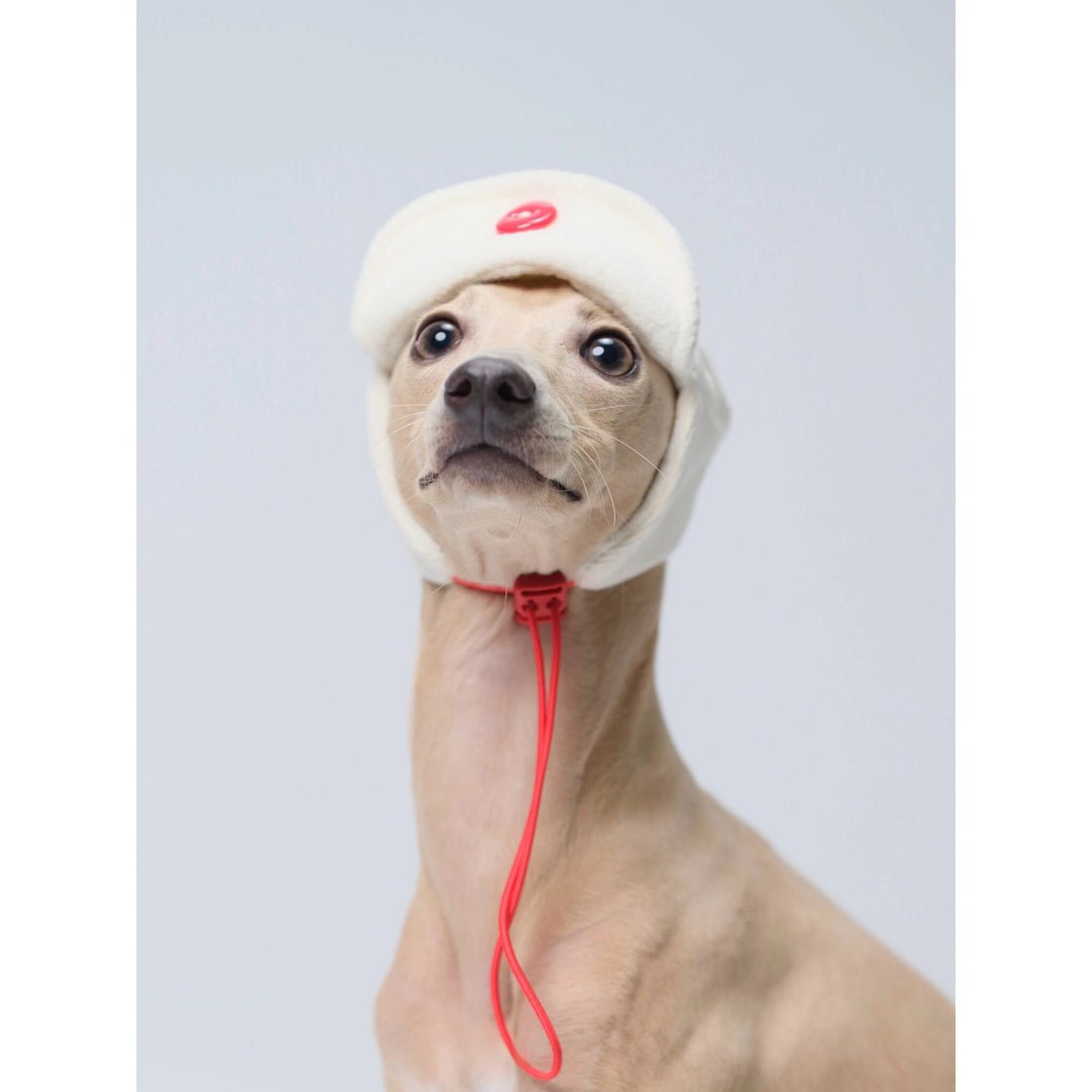 Fleece Aviator Dog Hat for Greyhounds – Warm Cap for Small & Medium Dogs