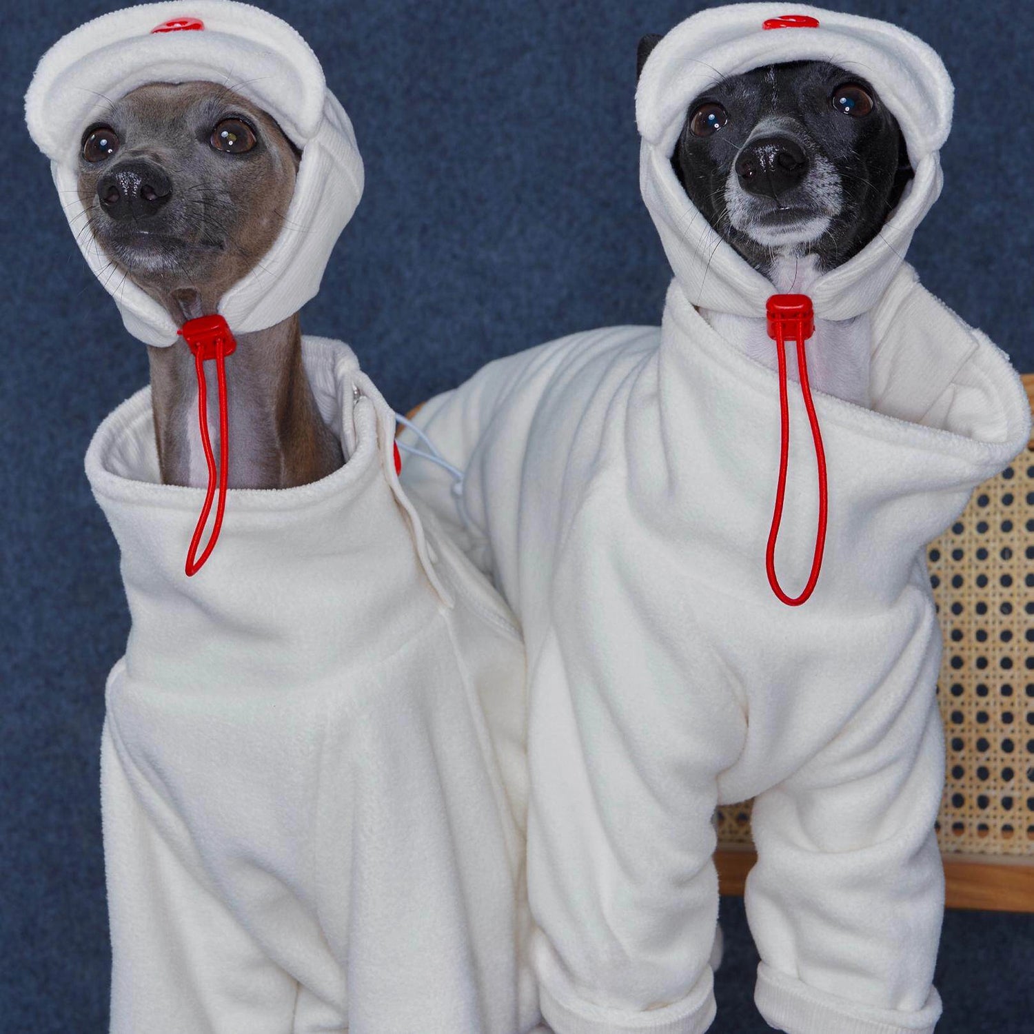 Fleece Aviator Dog Hat for Greyhounds – Warm Cap for Small &amp; Medium Dogs