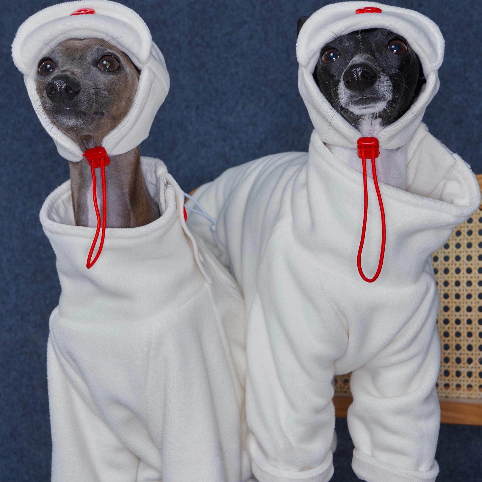 Fleece Aviator Dog Hat for Greyhounds – Warm Cap for Small &amp; Medium Dogs