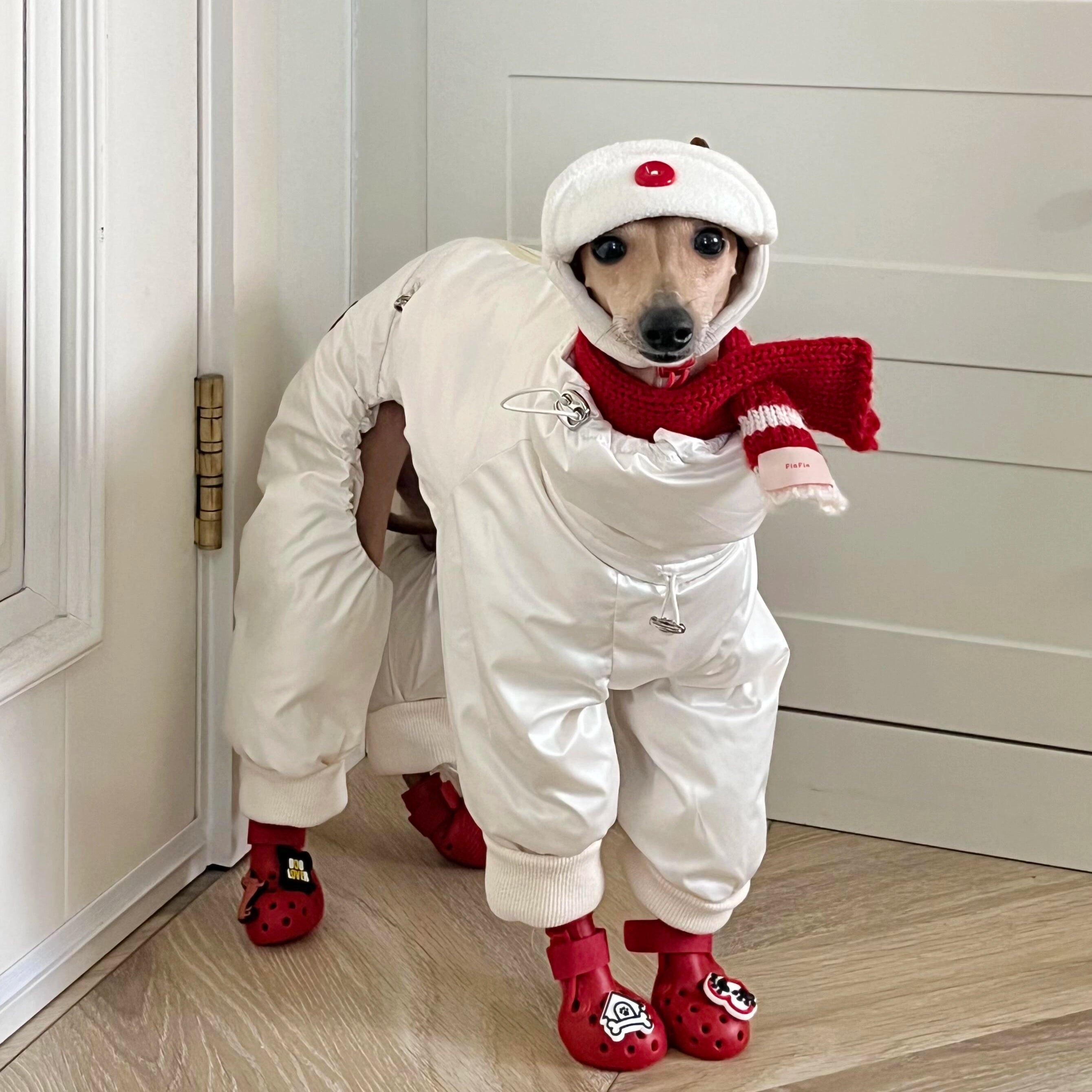 Fleece Aviator Dog Hat for Greyhounds – Warm Cap for Small &amp; Medium Dogs