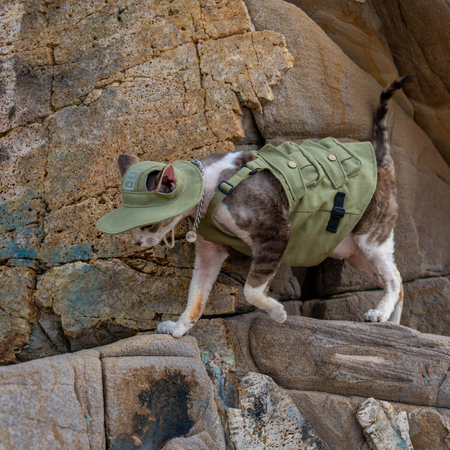 Adventure Gear Vest and Hat