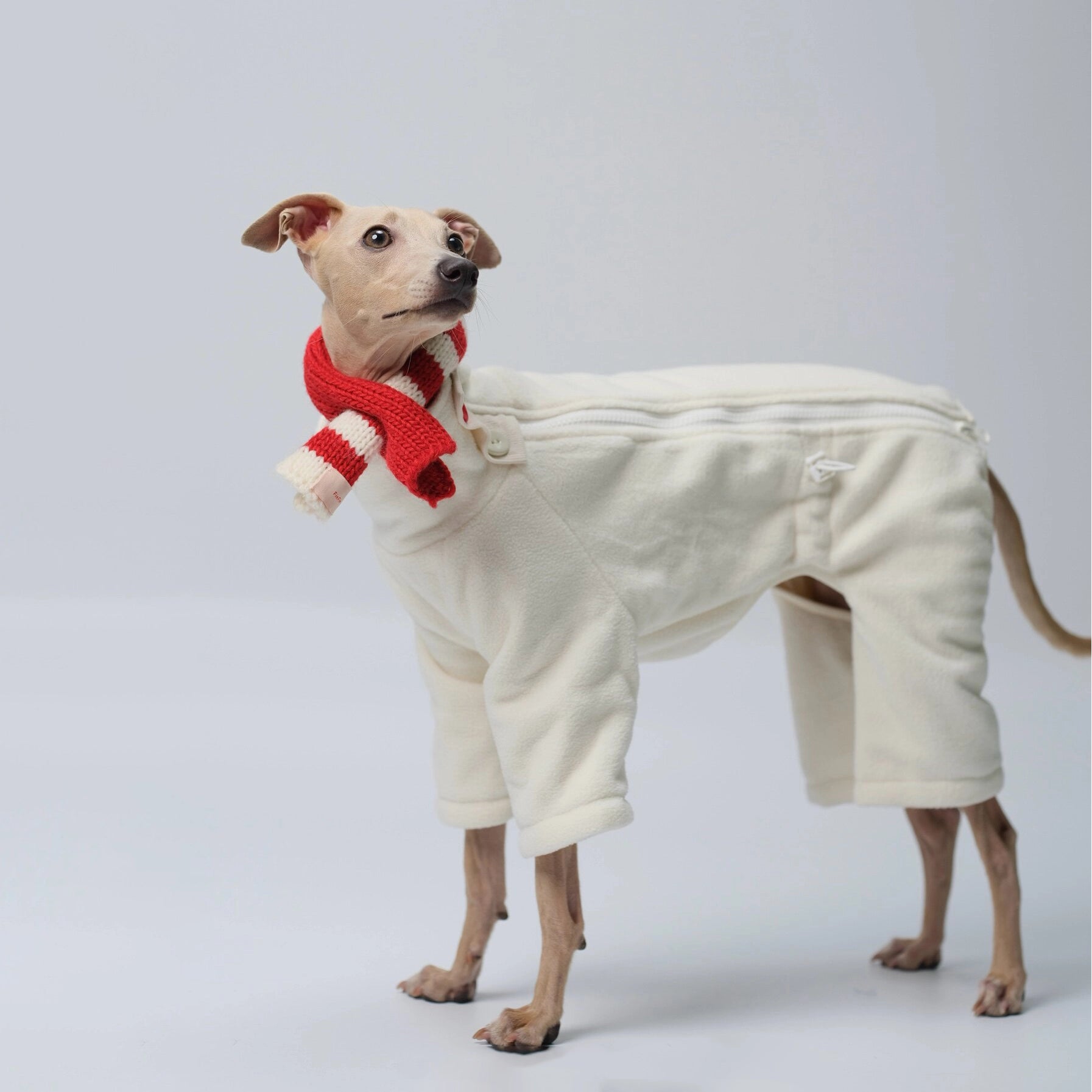 Anti-Static Reversible Fleece Jumpsuit for Greyhounds &amp; Whippets