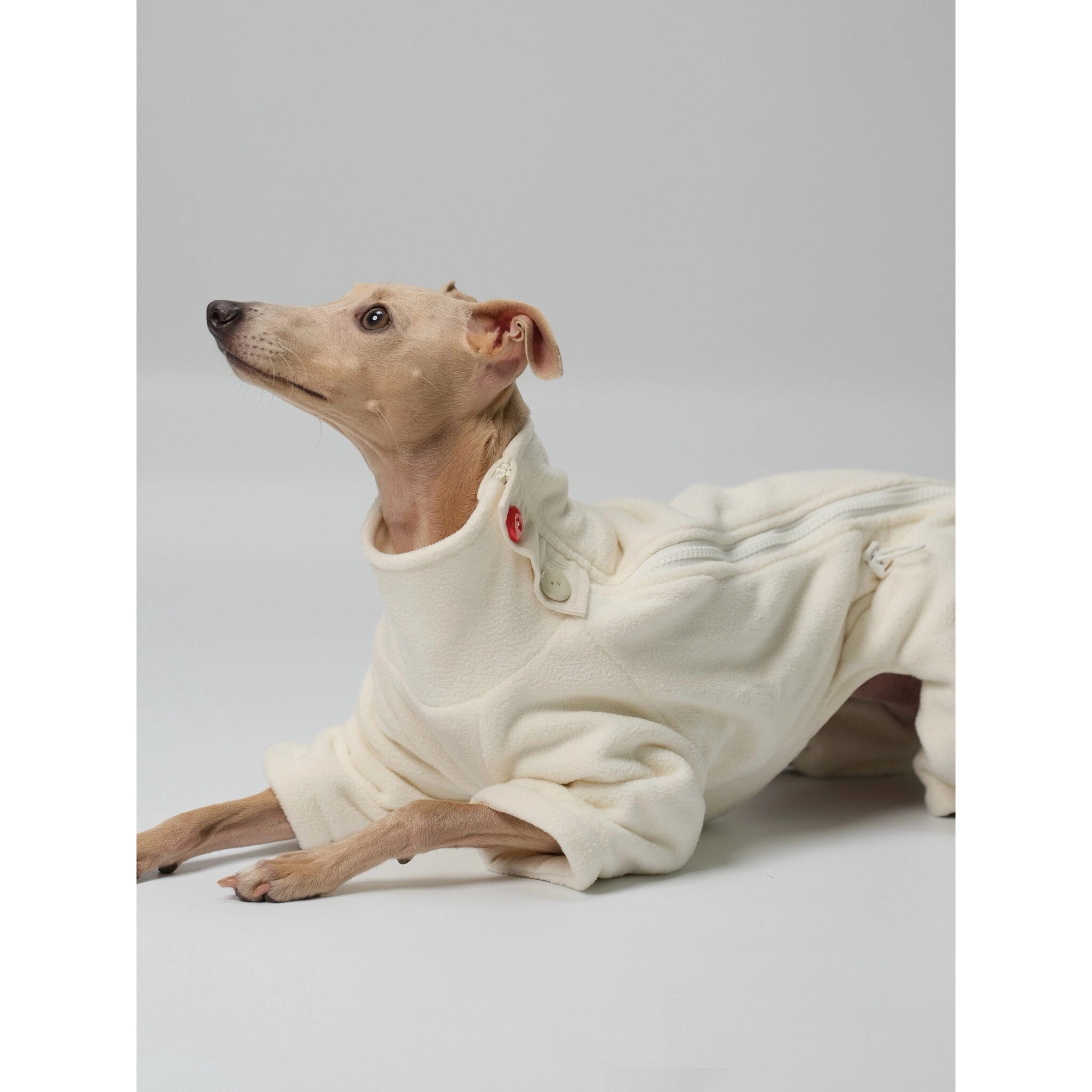 Anti-Static Reversible Fleece Jumpsuit for Greyhounds &amp; Whippets