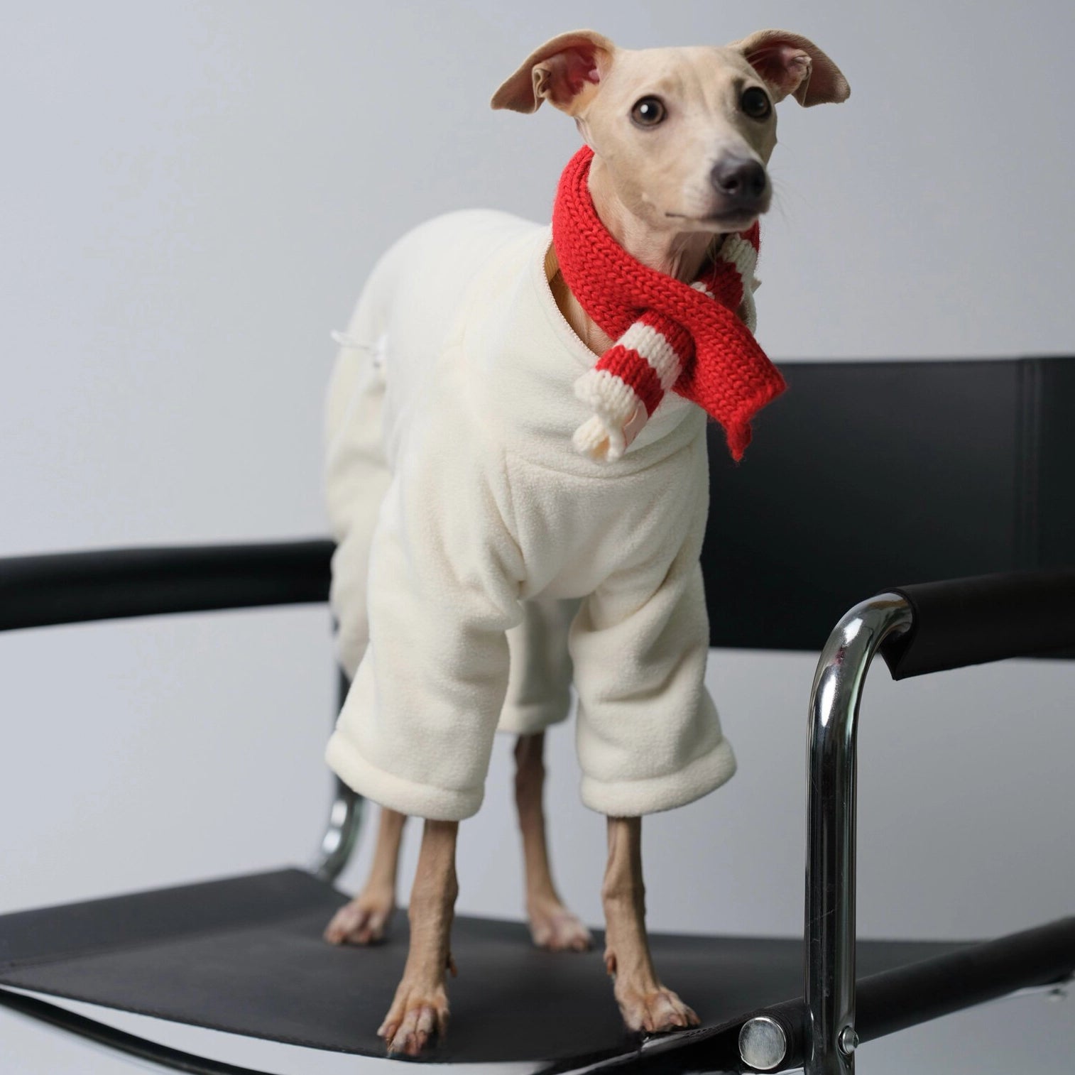 Anti-Static Reversible Fleece Jumpsuit for Greyhounds &amp; Whippets