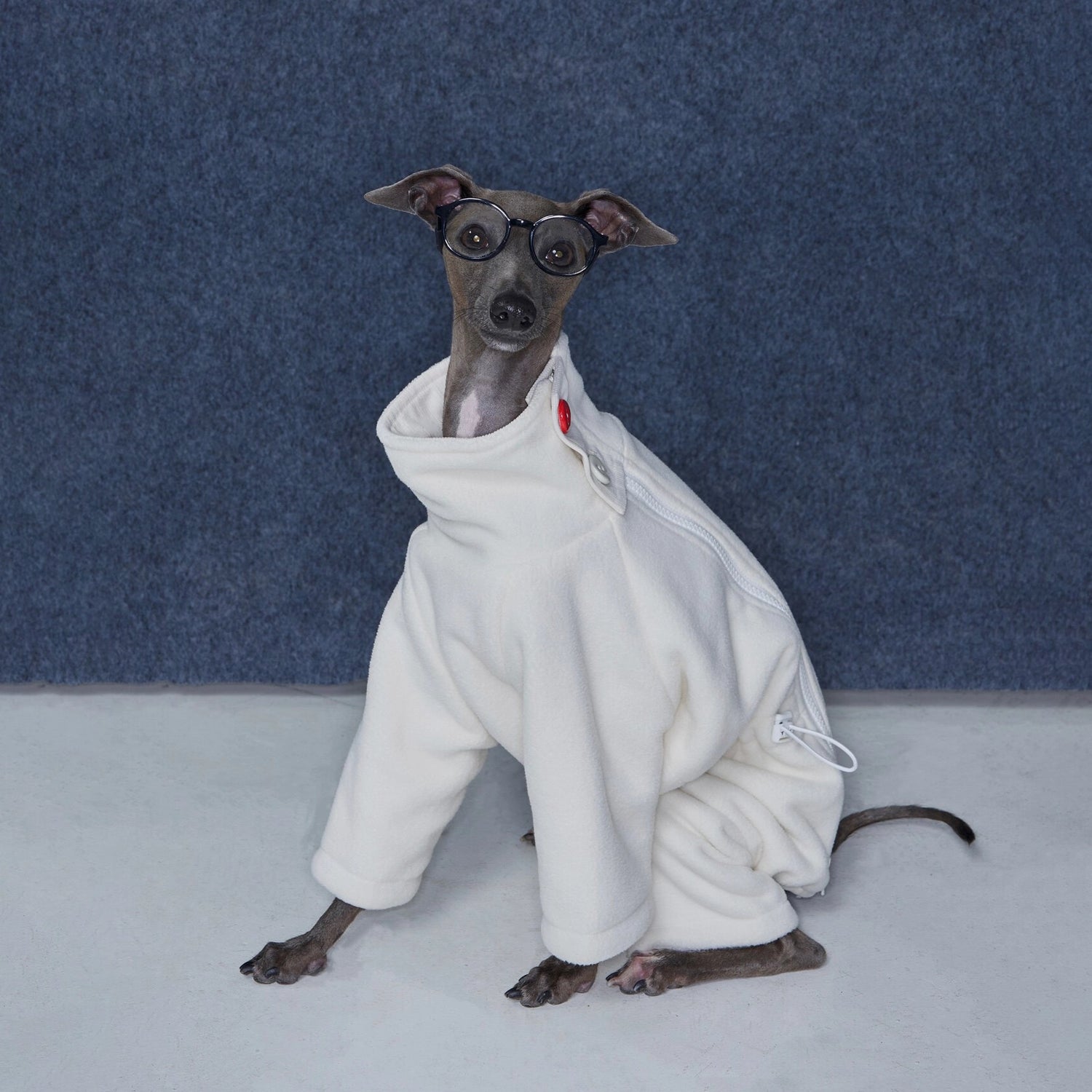 Anti-Static Reversible Fleece Jumpsuit for Greyhounds &amp; Whippets