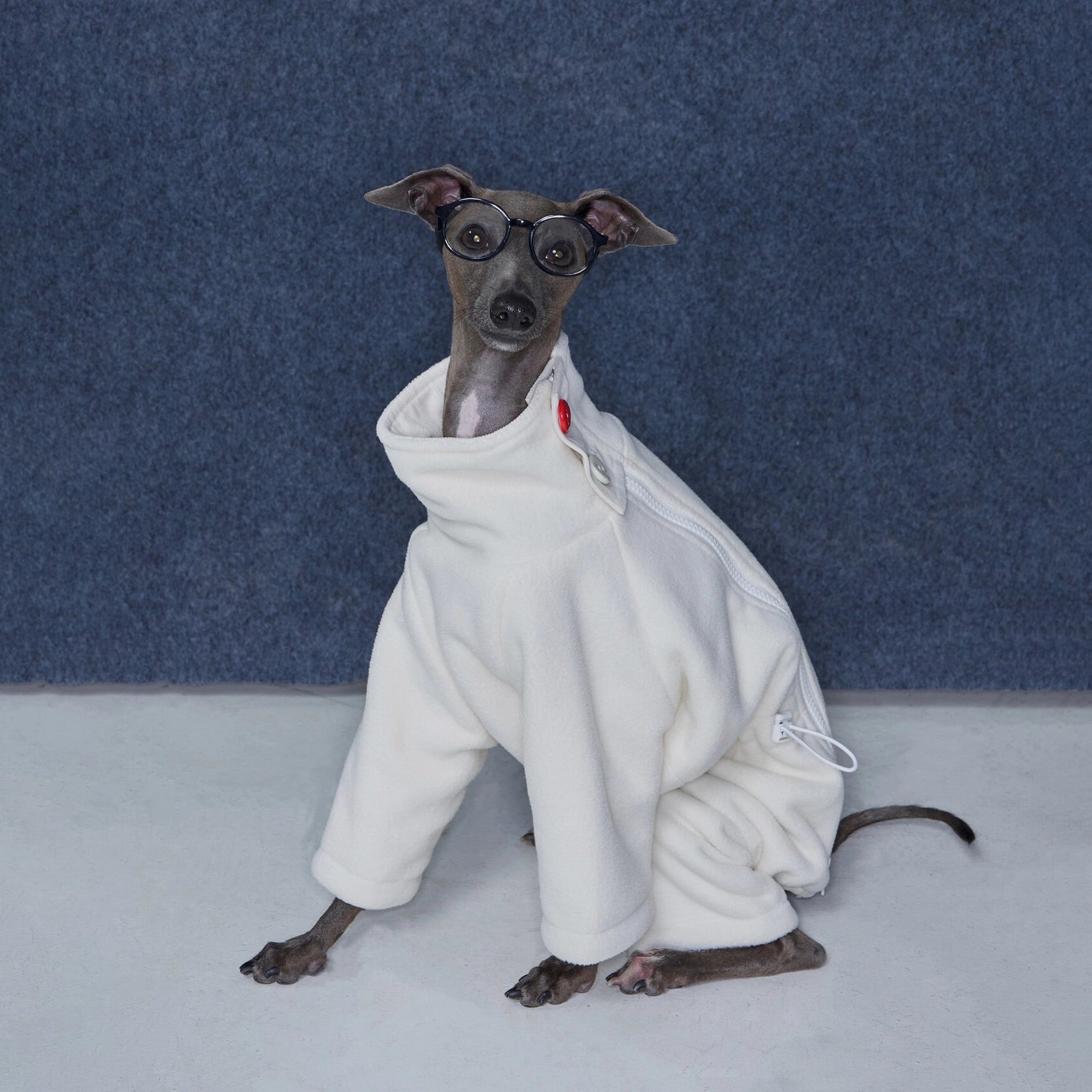 Whippet &amp; Greyhound Fleece Jumpsuit – Anti-Static Reversible Winter Onesie