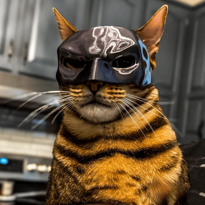 Batman Mask for Cat and Dog Cosplay