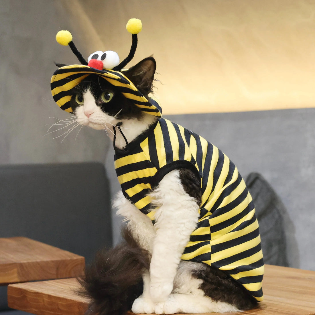 Bee Outfit: Cotton Striped Shirt + Hat DevonRex Sphynx Cat Clothes