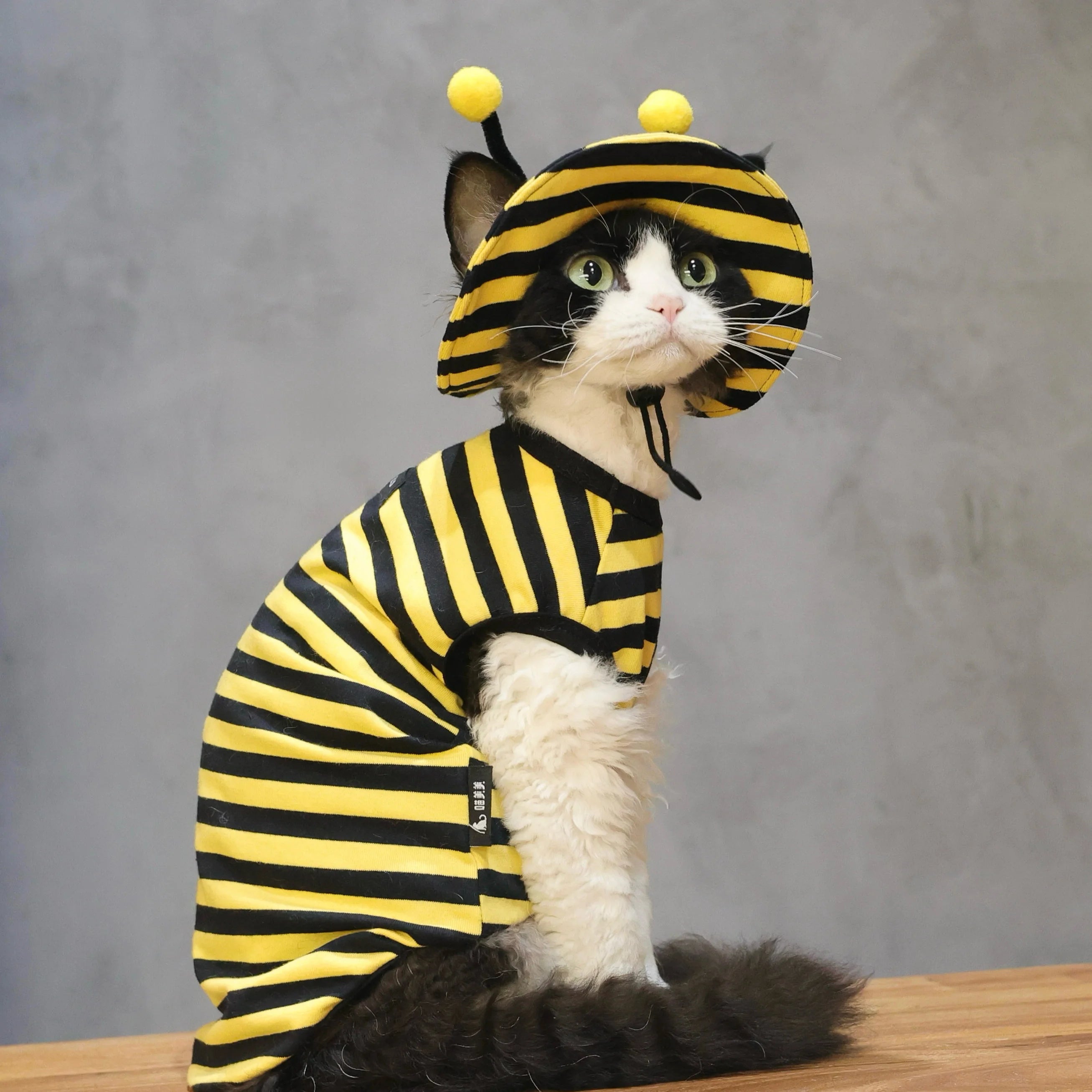 Bee Outfit: Cotton Striped Shirt + Hat DevonRex Sphynx Cat Clothes