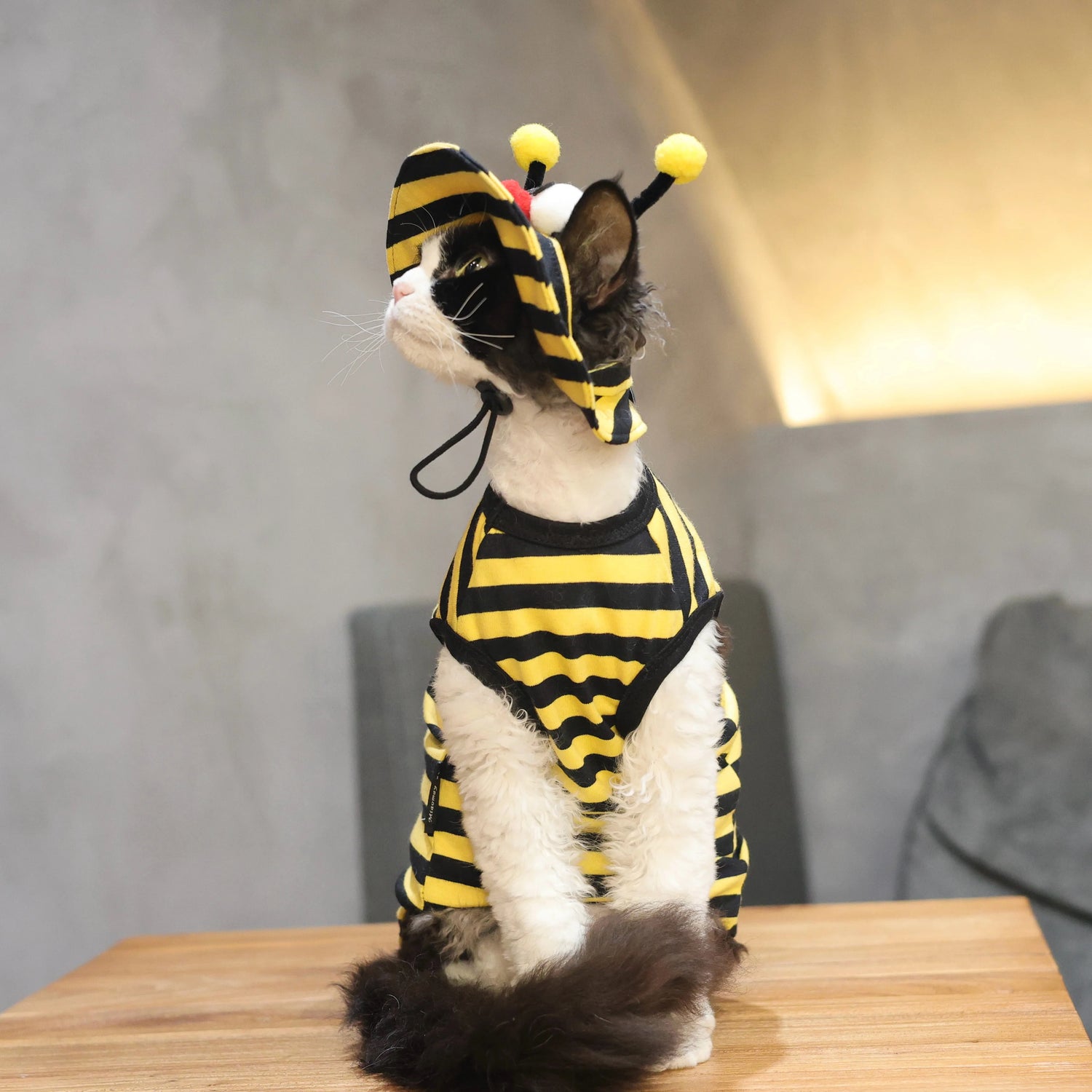 Bee Outfit: Cotton Striped Shirt + Hat DevonRex Sphynx Cat Clothes