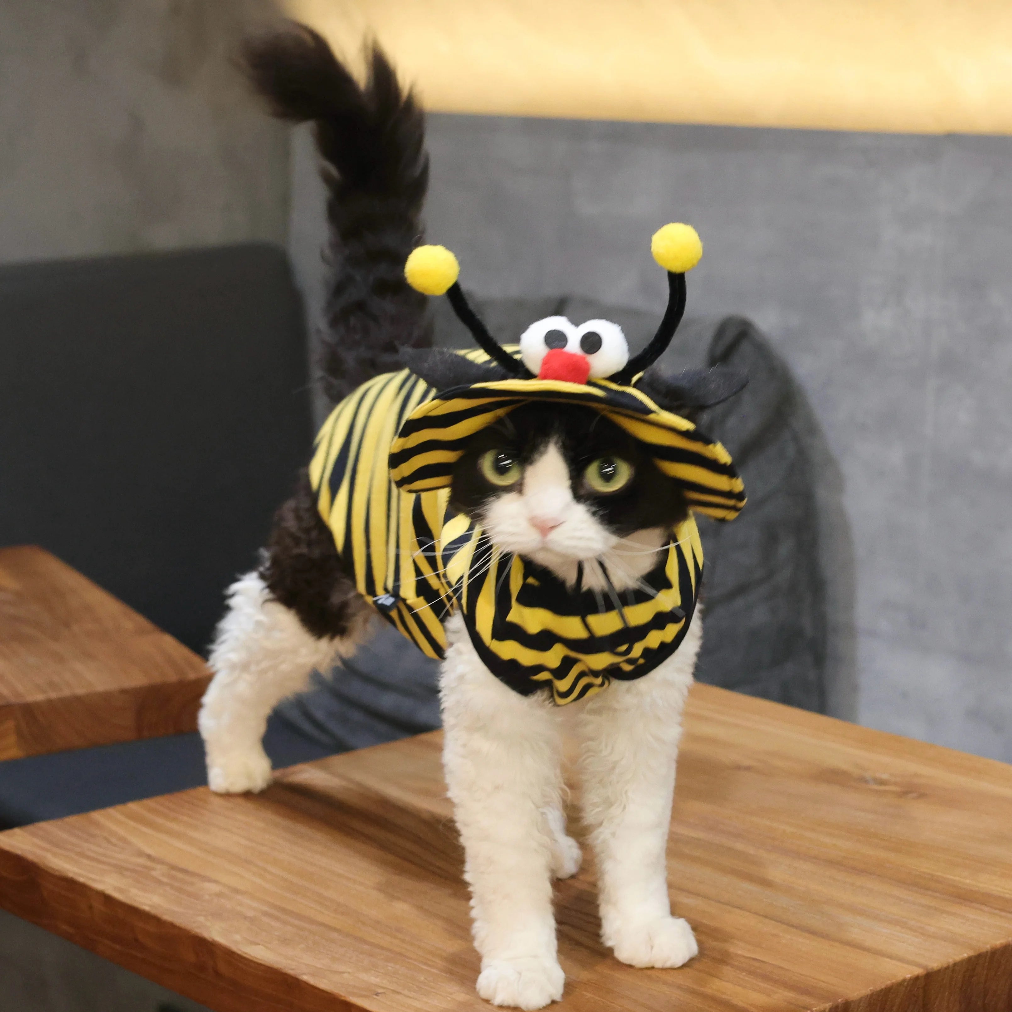 Bee Outfit: Cotton Striped Shirt + Hat DevonRex Sphynx Cat Clothes