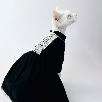 Black Nun  Lace Dress DevonRex Sphynx Cat