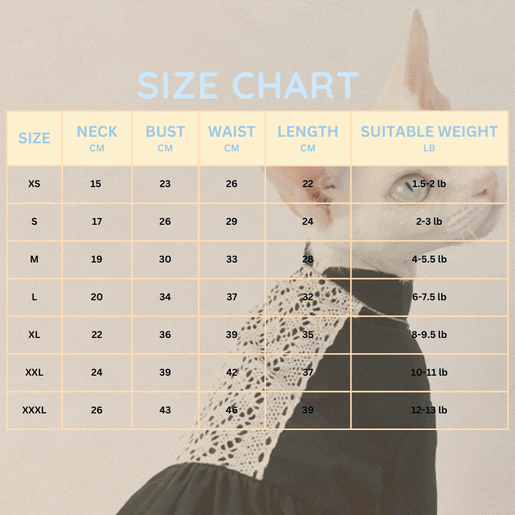 Black Nun  Lace Dress DevonRex Sphynx Cat