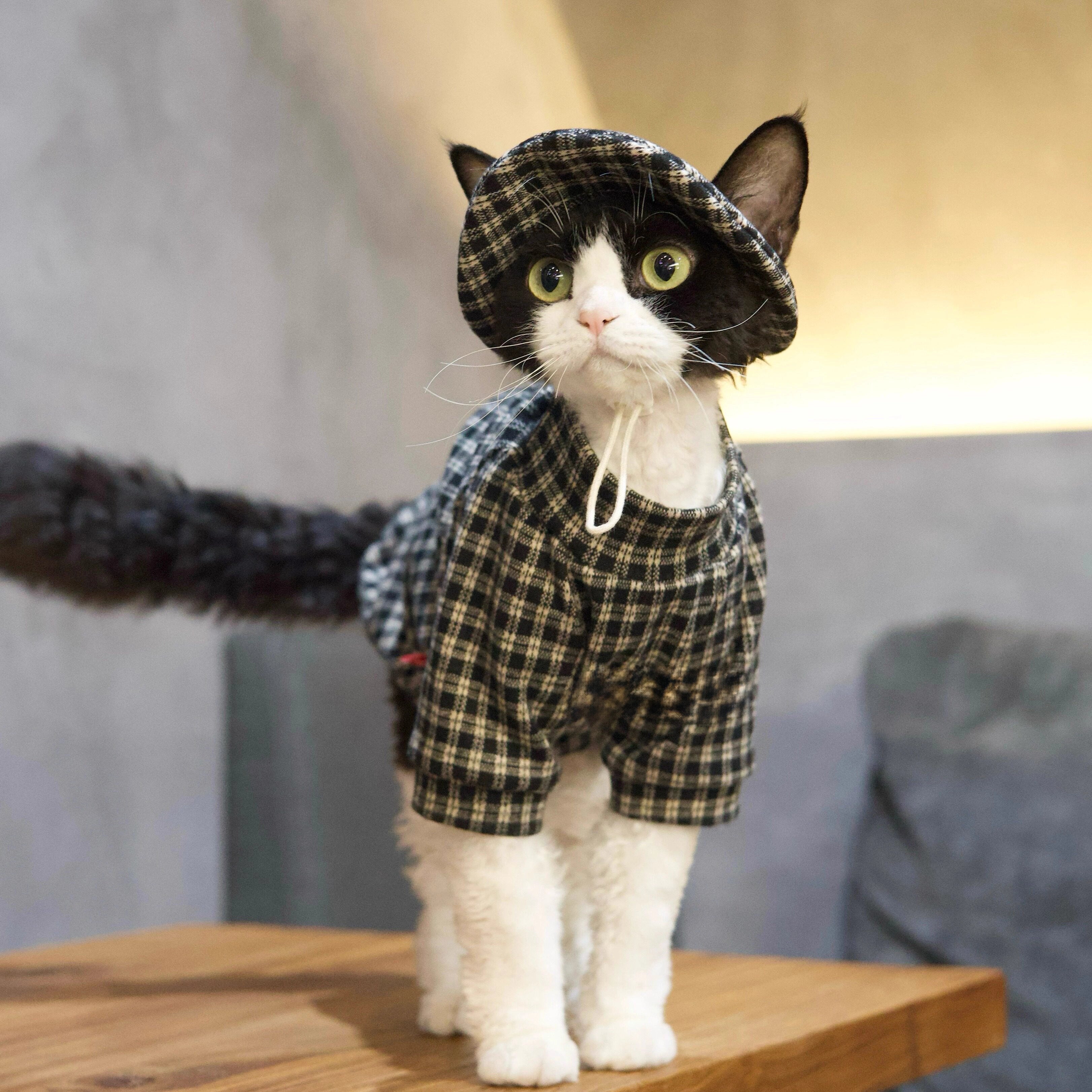 Black &amp; White Plaid Tee + Hat – Devon/Sphynx Cat Clothes