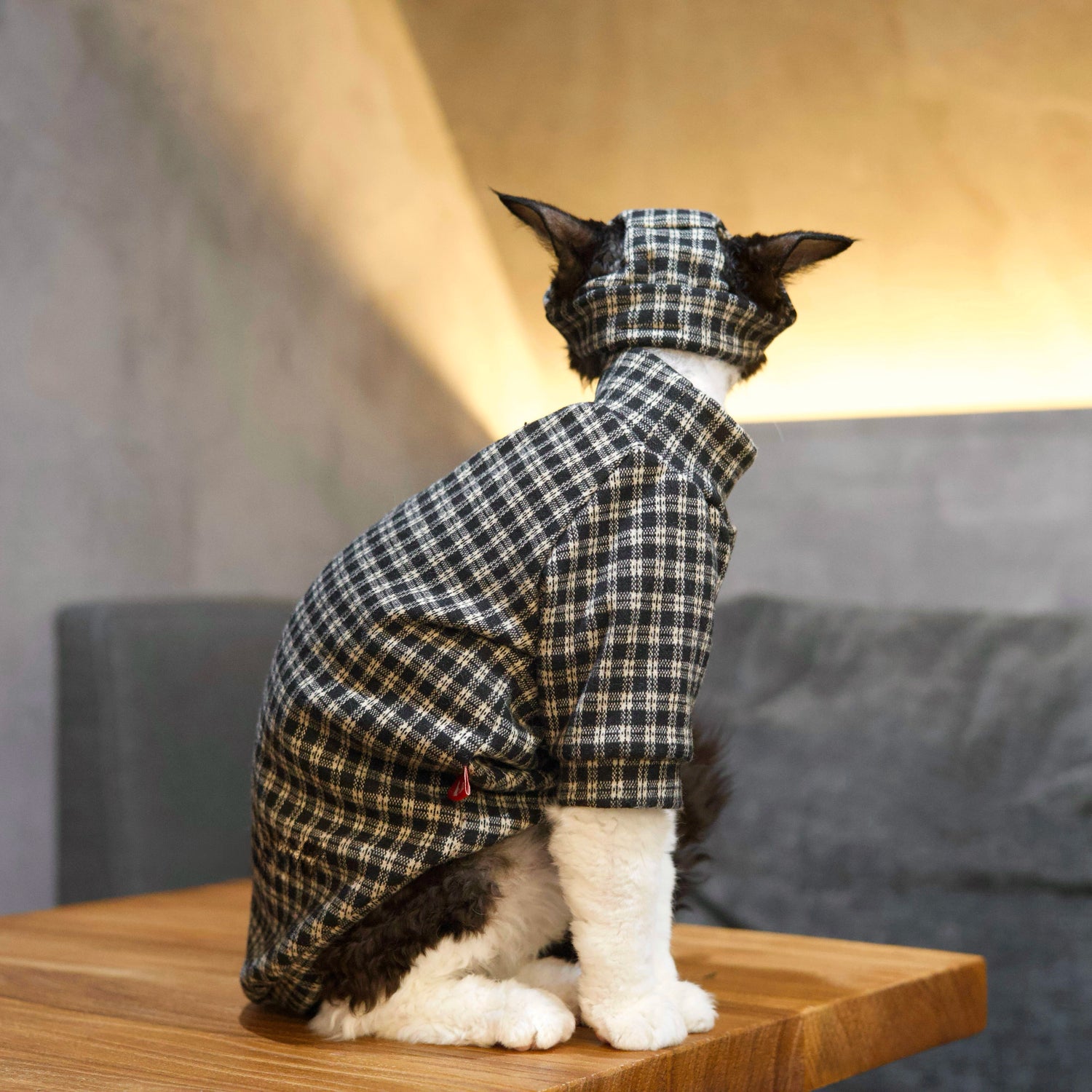 Black &amp; White Plaid Tee + Hat – Devon/Sphynx Cat Clothes
