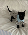 Sighthound Polo Shirt – Striped Cotton Tee for Whippets & Iggies