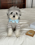 Sighthound Polo Shirt – Striped Cotton Tee for Whippets & Iggies