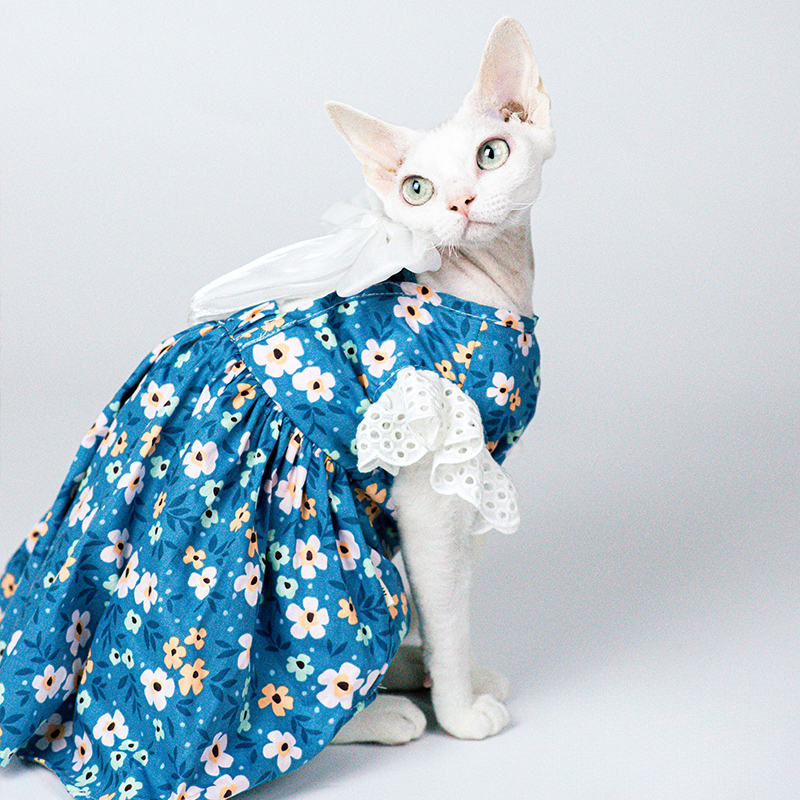 Blue Floral Dress With Bow For Cat