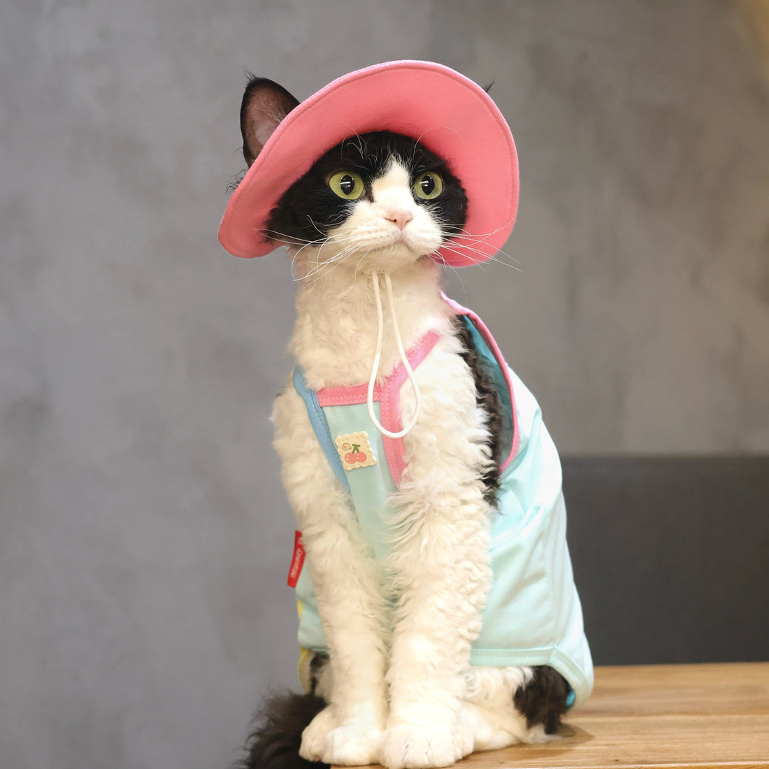 Cherry Tee + Hat DevonRex Sphynx Cat Clothes