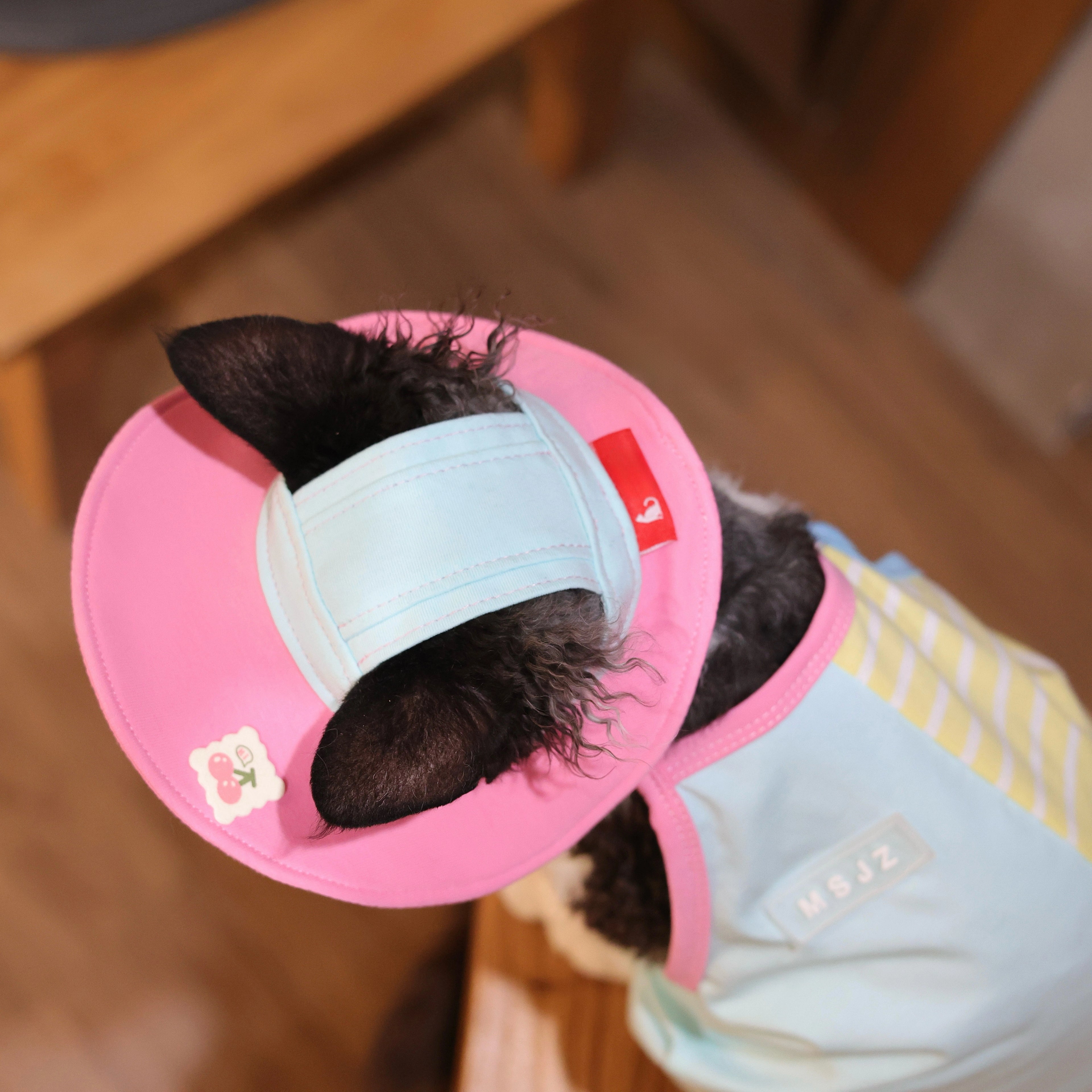 Cherry Tee + Hat DevonRex Sphynx Cat Clothes