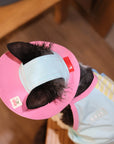 Sphynx Cat Outfit Set – Cherry Tee & Knit Hat
