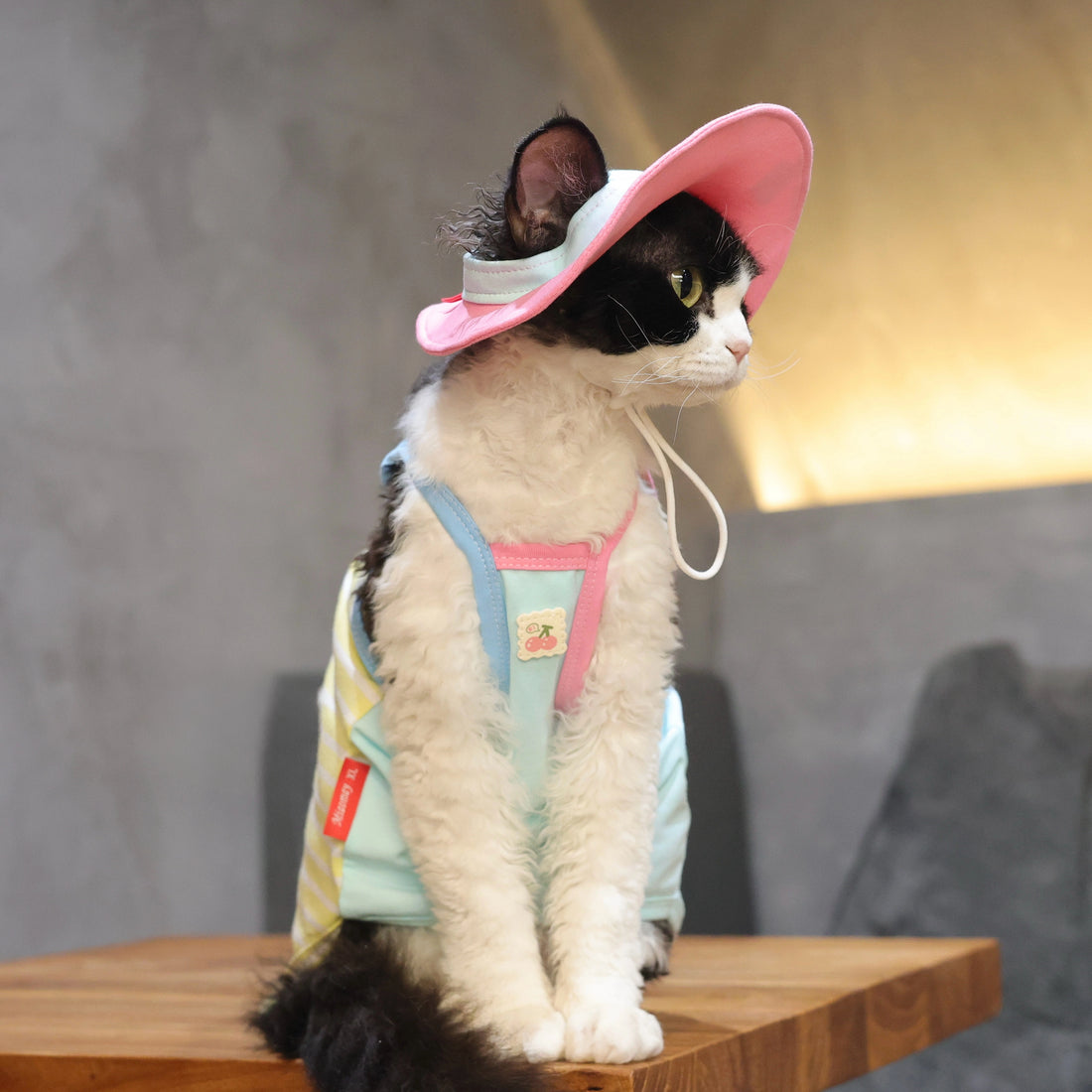 Cherry Tee + Hat DevonRex Sphynx Cat Clothes