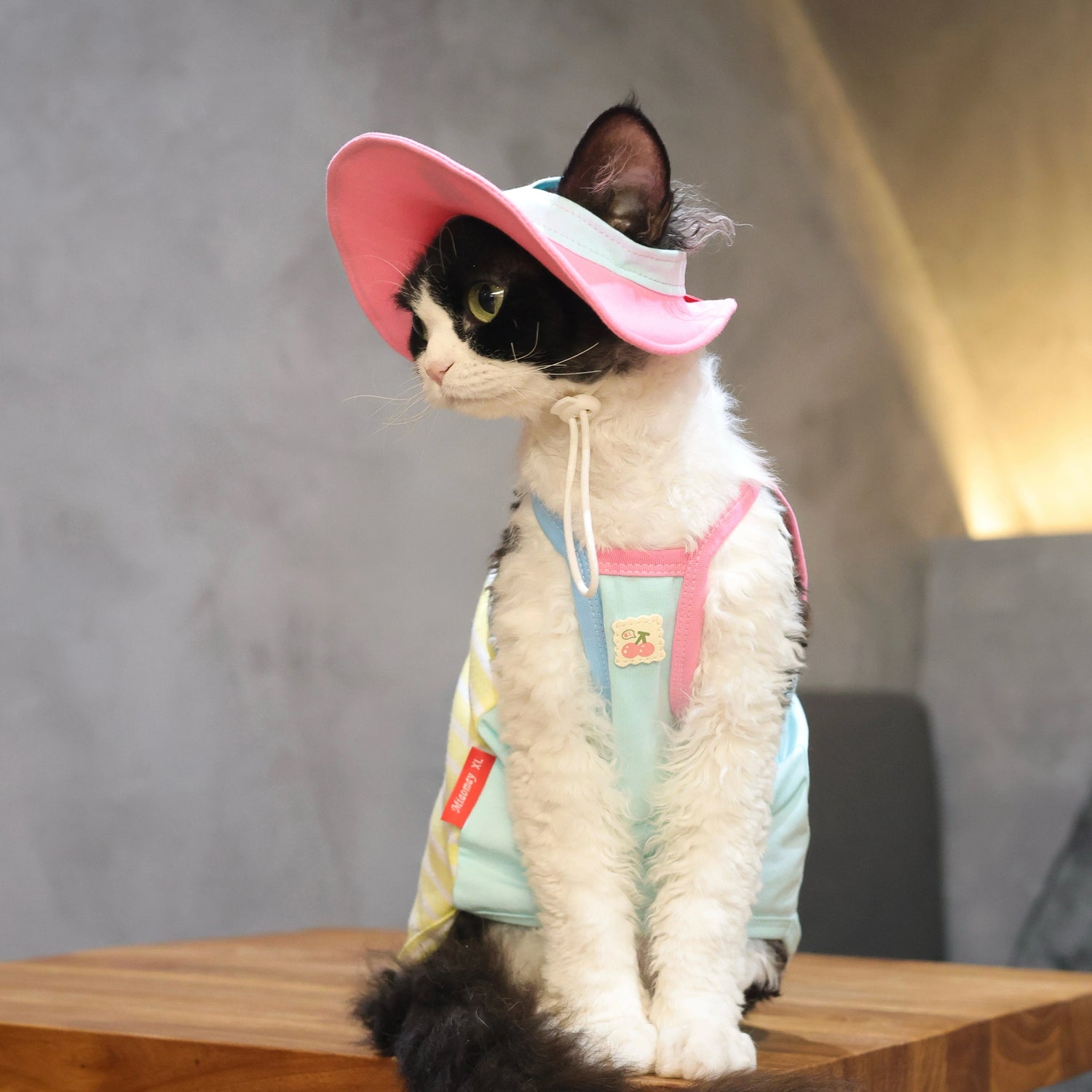 Cherry Tee + Hat DevonRex Sphynx Cat Clothes