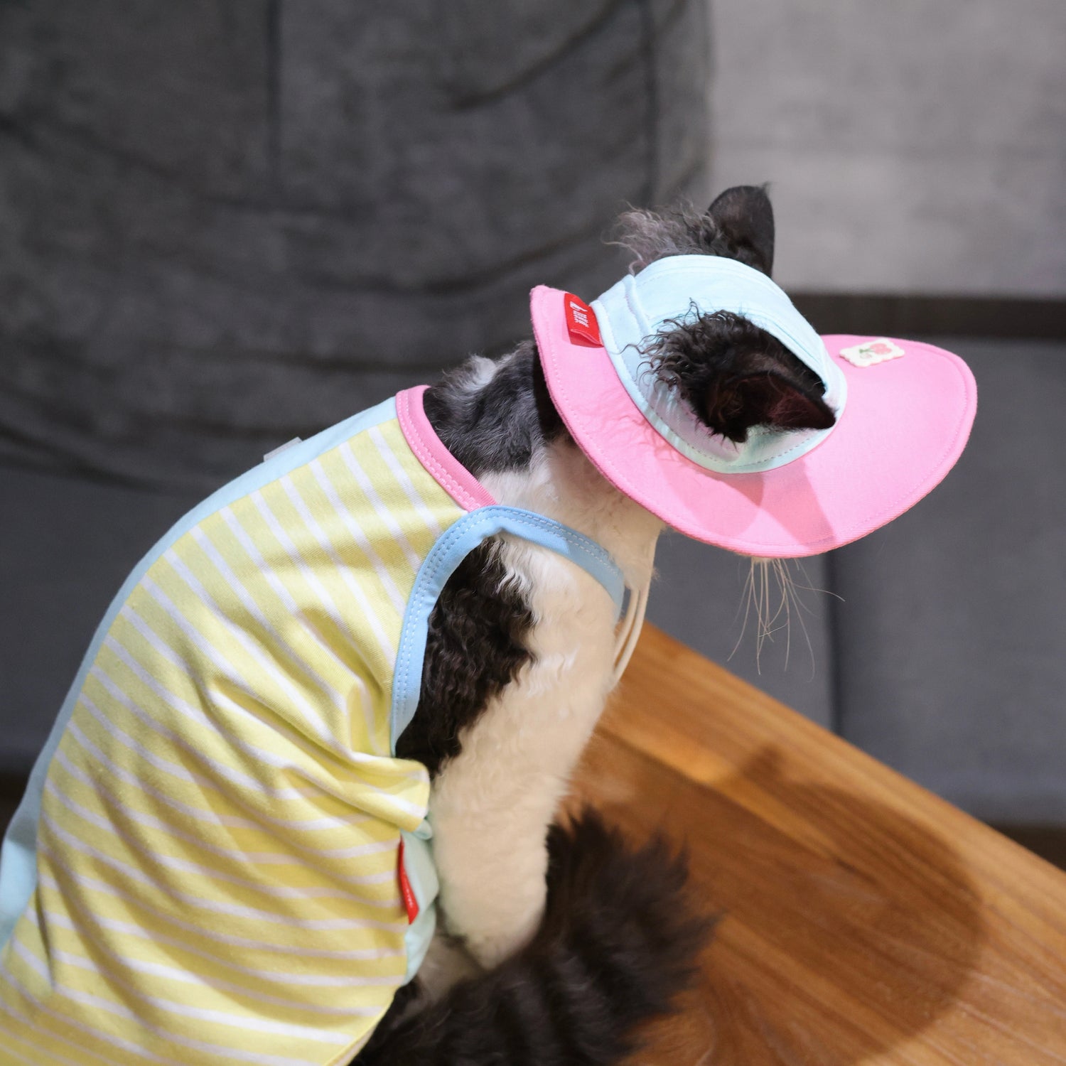 Cherry Tee + Hat DevonRex Sphynx Cat Clothes