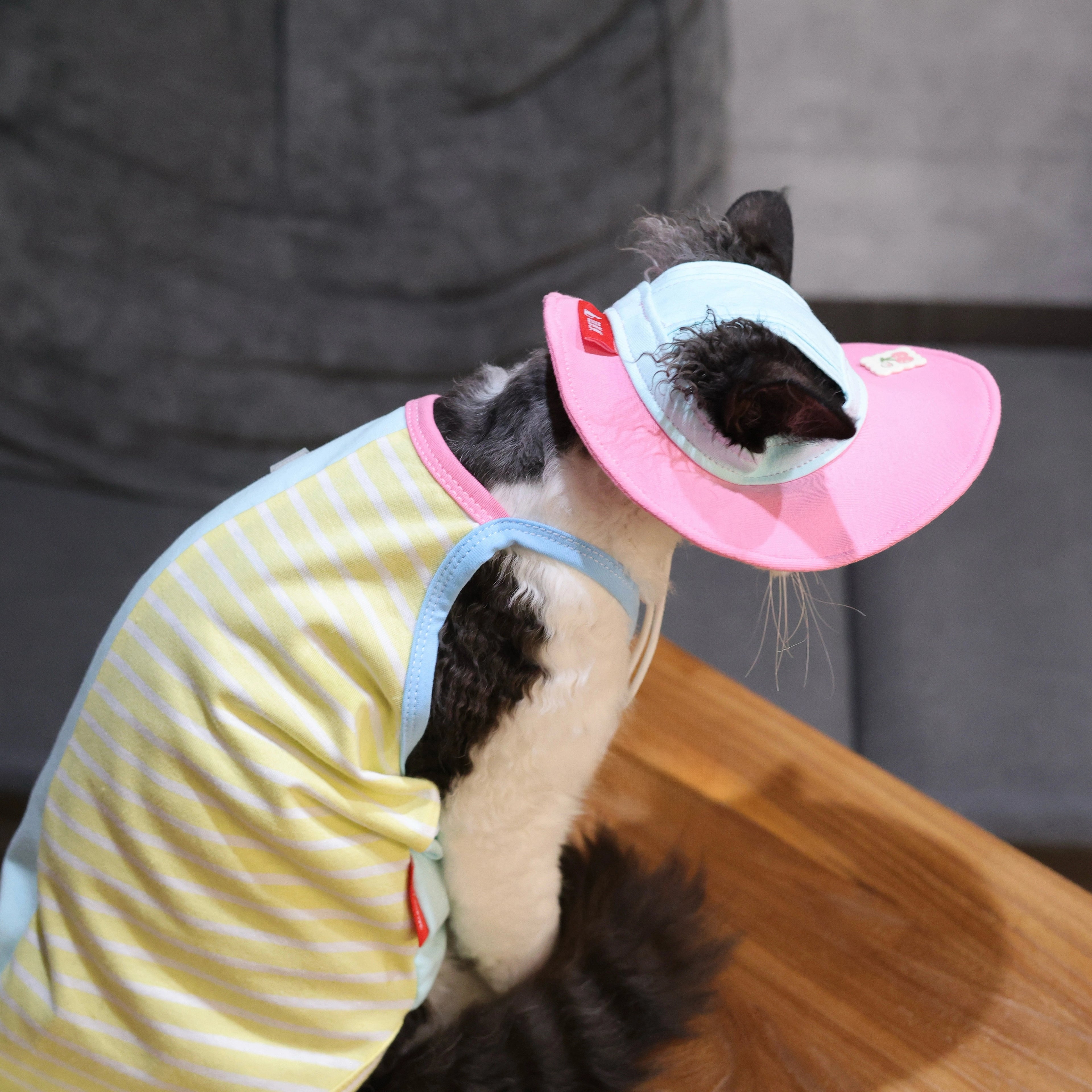 Cherry Tee + Hat DevonRex Sphynx Cat Clothes