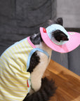 Sphynx Cat Outfit Set – Cherry Tee & Knit Hat