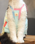 Sphynx Cat Outfit Set – Cherry Tee & Knit Hat