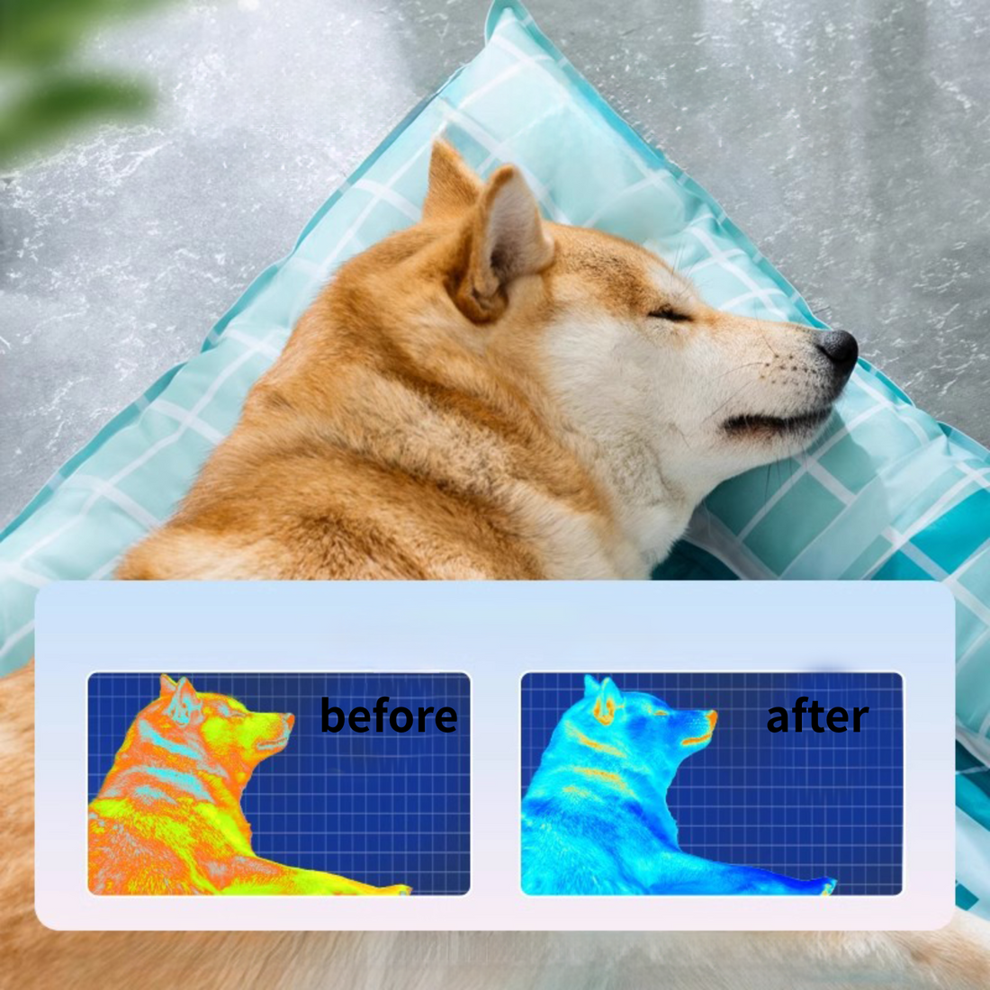 Chill Villa Pet Bed For Summer
