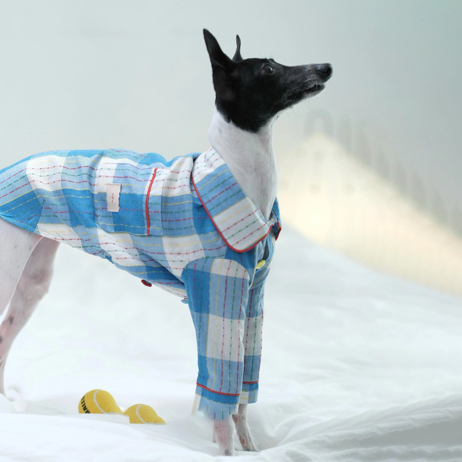 Cotton-Linen Plaid Pajamas for Greyhounds &amp; Whippets