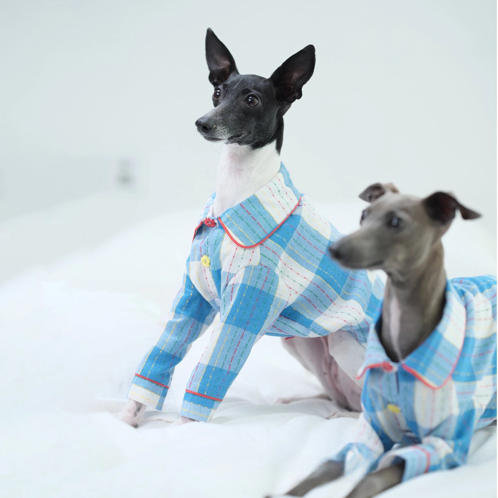 Cotton-Linen Plaid Pajamas for Greyhounds &amp; Whippets