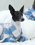 Whippet & Greyhound Pajamas – Cotton-Linen Plaid Loungewear