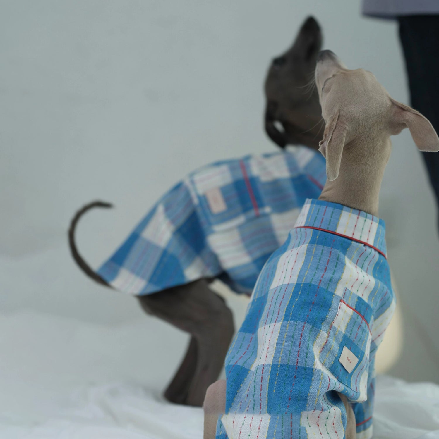 Cotton-Linen Plaid Pajamas for Greyhounds &amp; Whippets