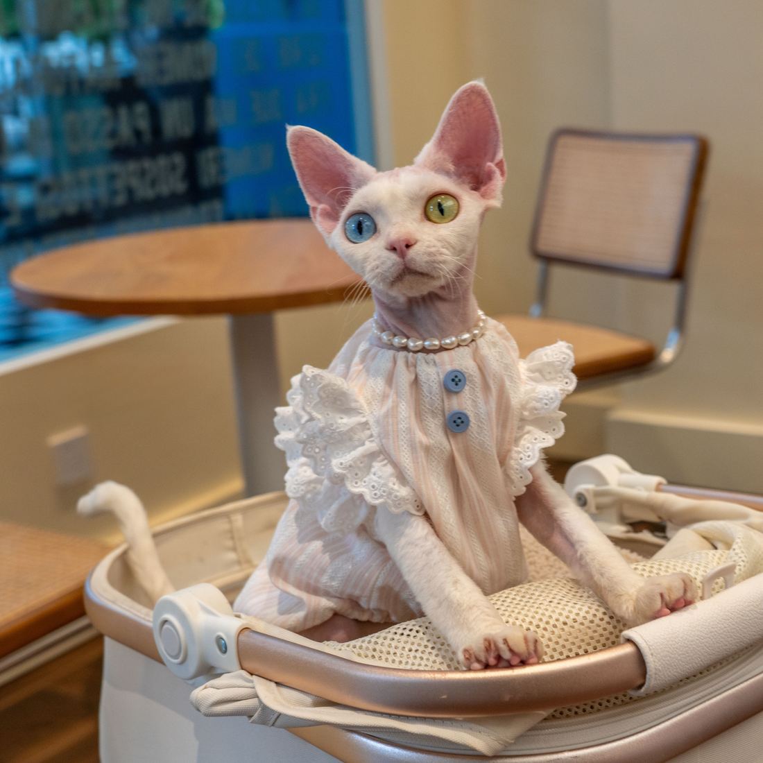 Cotton Dress- Striped & Lace Design Pink