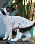 Sphynx Cat Turtleneck – Striped Cotton Base Layer (3 Colors)