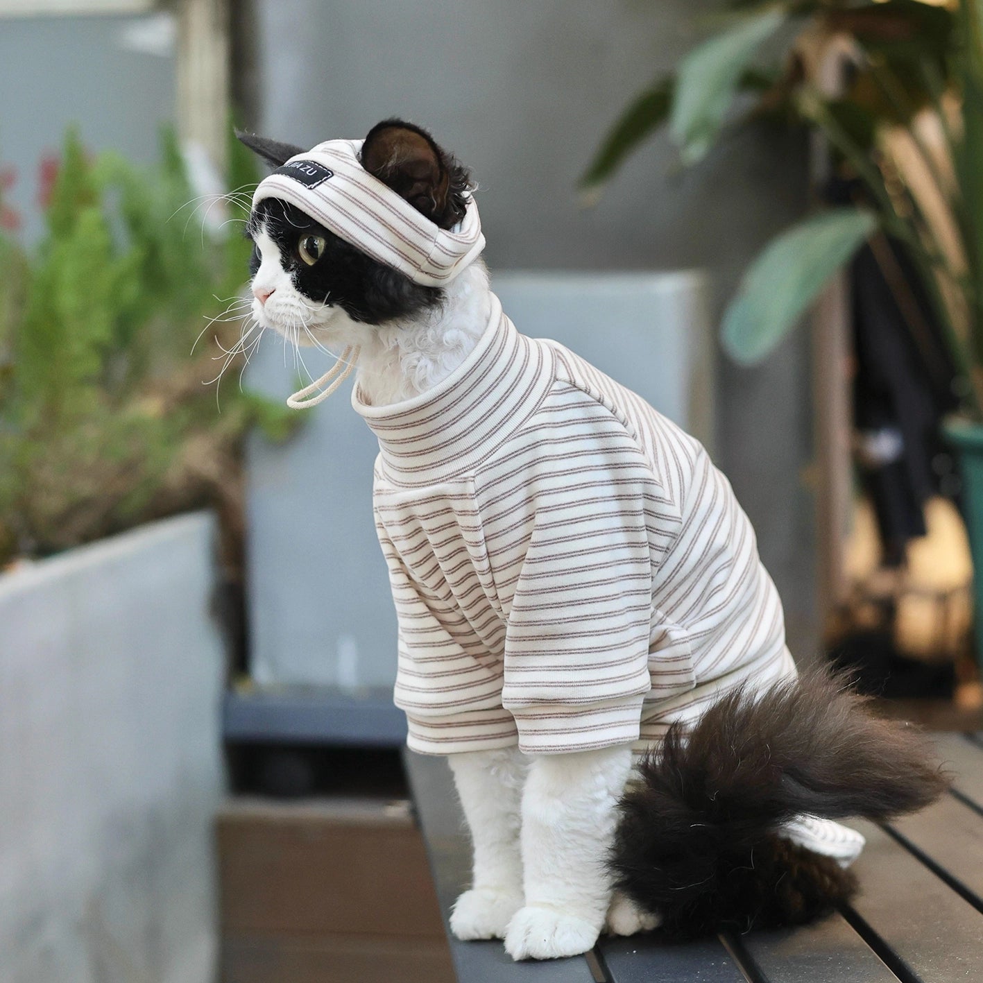 Sphynx Cat Turtleneck – Striped Cotton Base Layer (3 Colors)