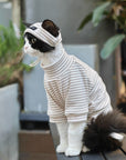 Sphynx Cat Turtleneck – Striped Cotton Base Layer (3 Colors)