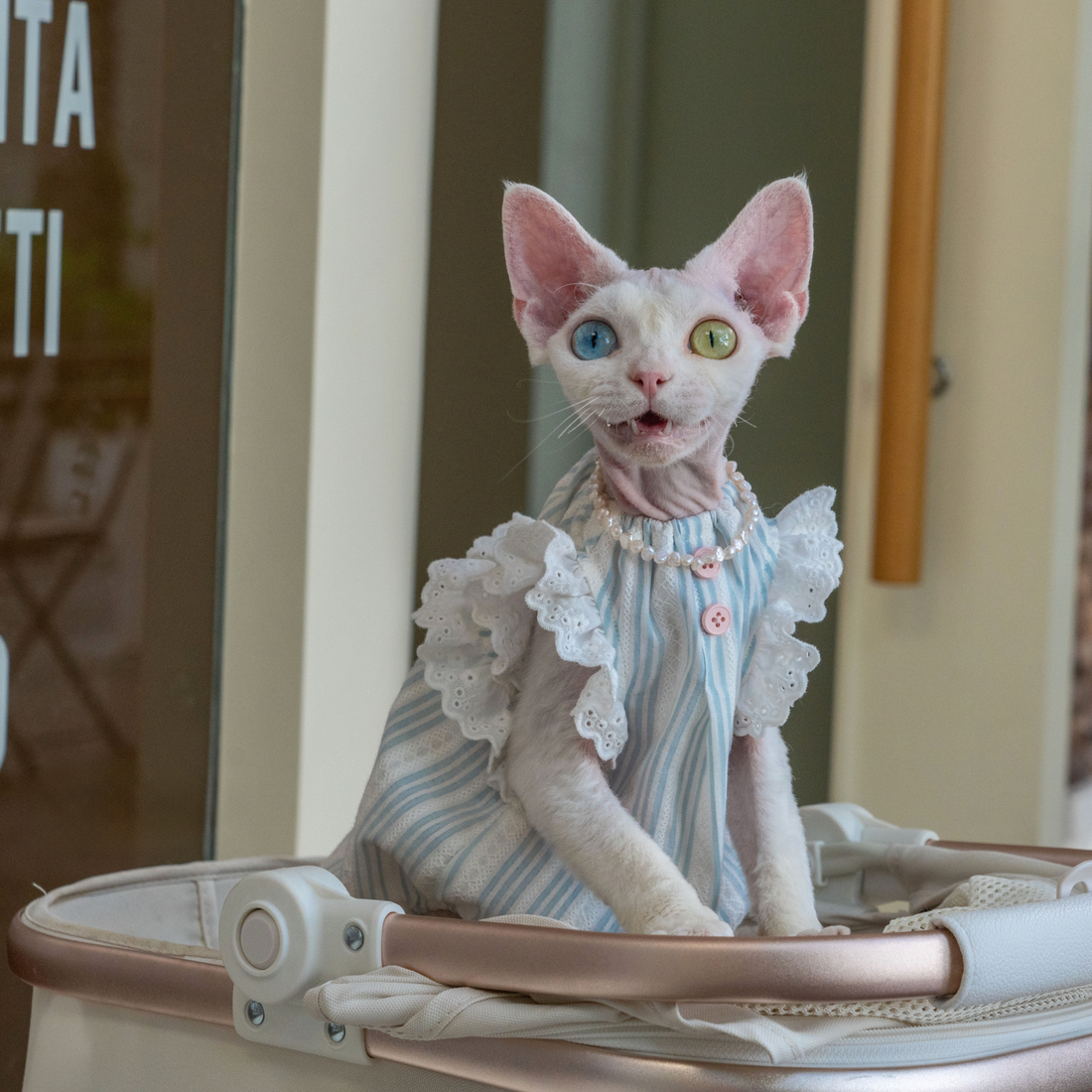 Cotton Dress- Striped & Lace Design