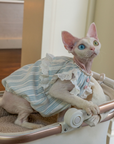 Cotton Dress- Striped & Lace Design