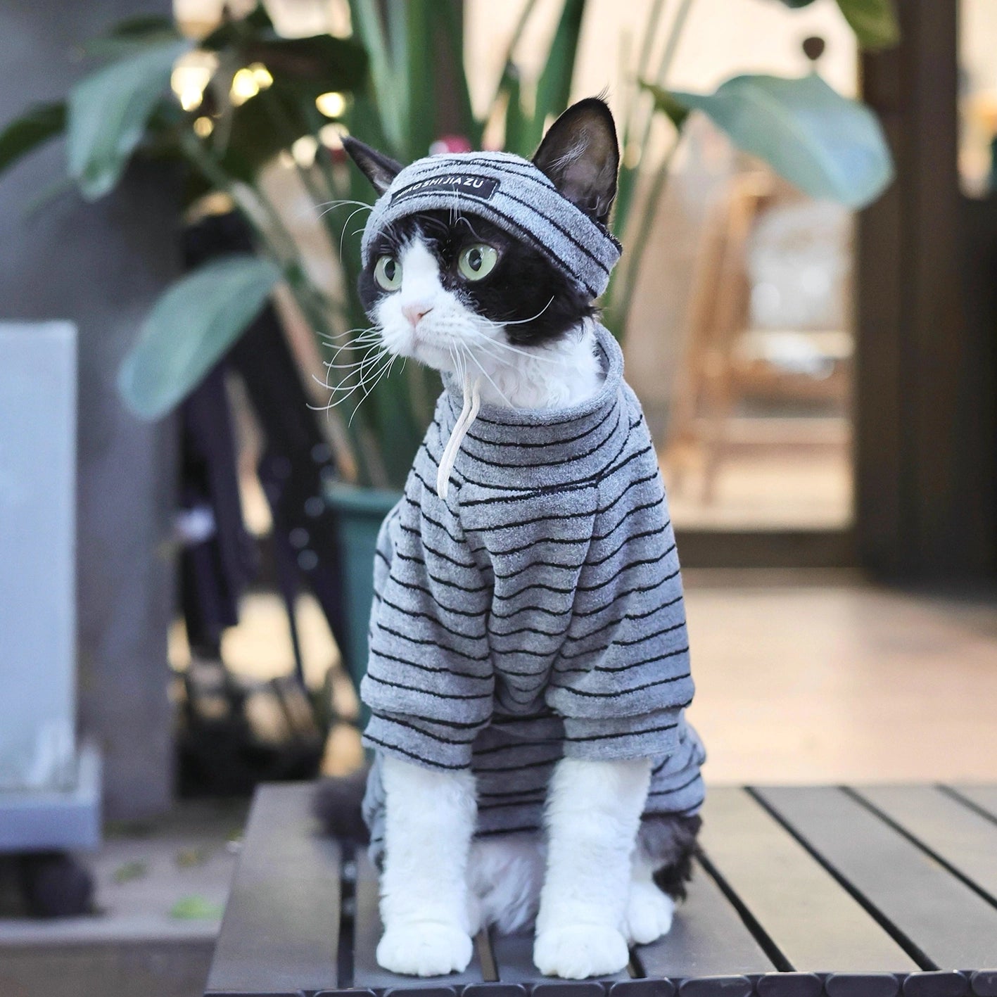 Sphynx Cat Turtleneck – Striped Cotton Base Layer (3 Colors)